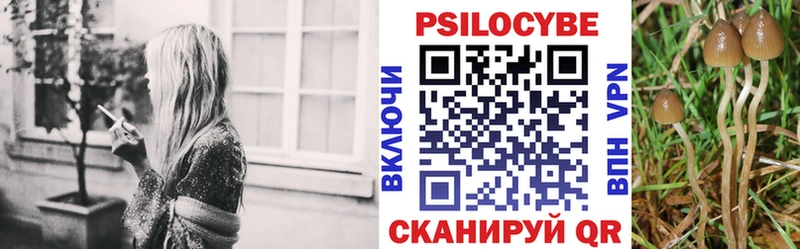 mega ТОР  Куртамыш  Галлюциногенные грибы мухоморы 